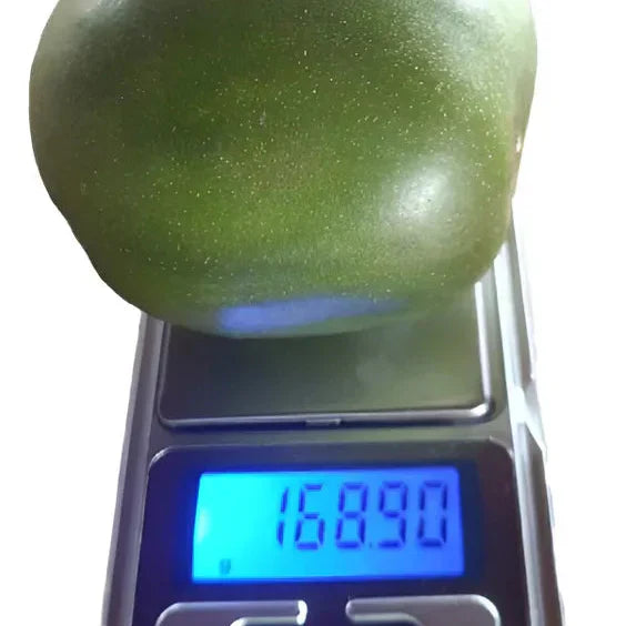 Umbu Gigante 2,5Kg