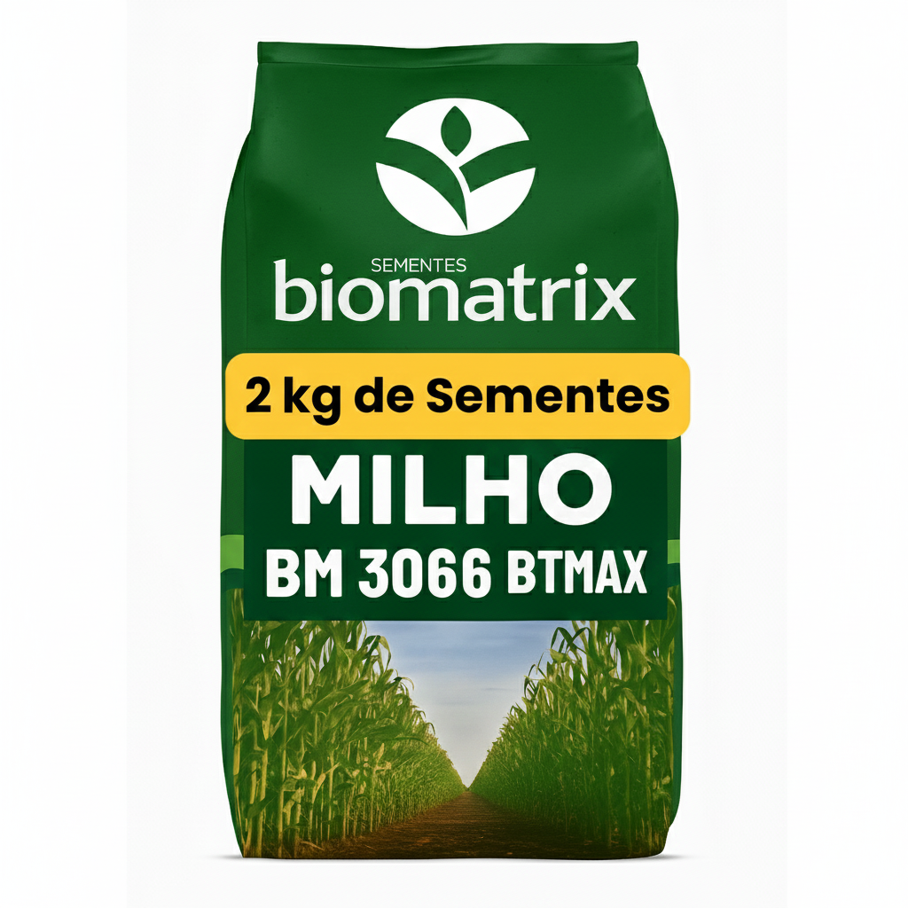 Sementes De Milho Híbrido 3066 BTMax - 2 Kg Alta tecnologia