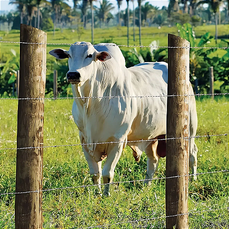 Arame farpado GIR Gerdau - 500 metros