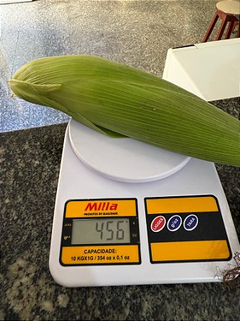 Semente milho 3066 BTMAX - Resistente Milho Verde e Silagem - 1.000 sementes